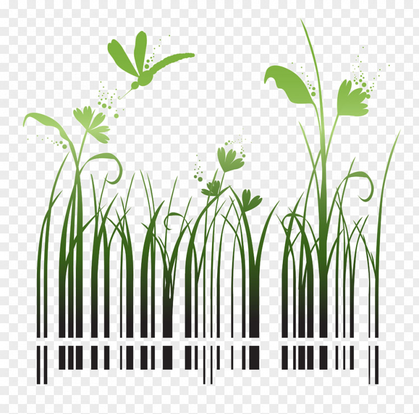 Barcode Grass Shutterstock Stock Photography QR Code PNG