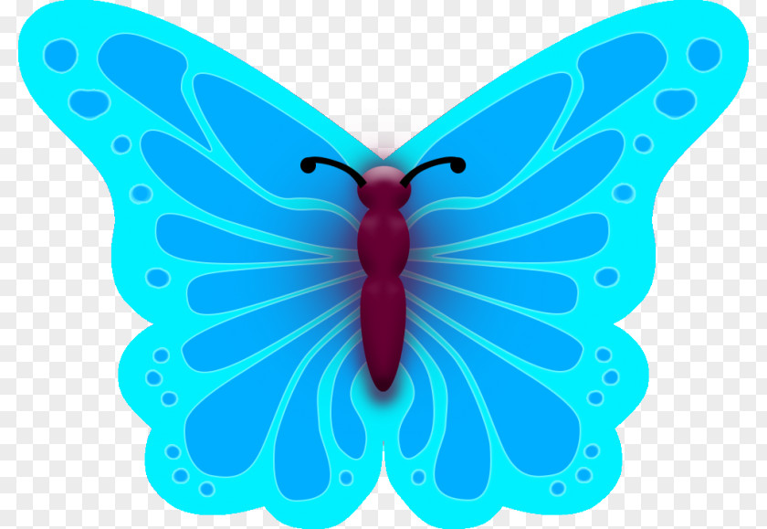 Cake Monarch Butterfly Cupcake Moth PNG