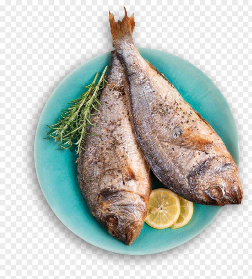 Fish Kipper Fried Oily Products Salted PNG