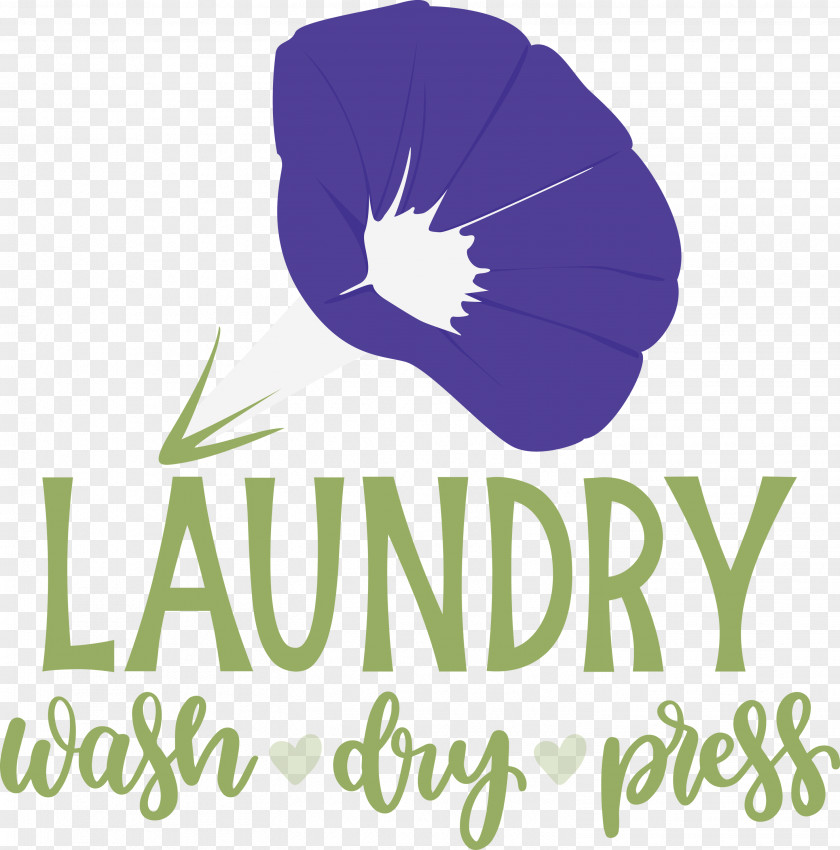 Laundry Wash Dry PNG