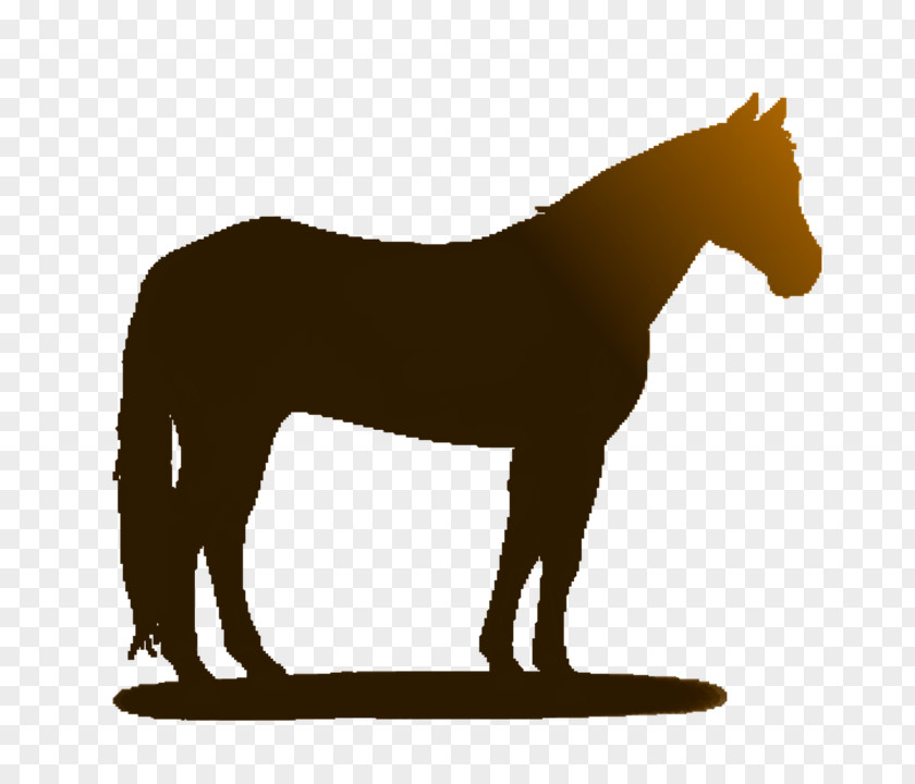 Mustang Mane Stallion Foal Hanoverian Horse PNG