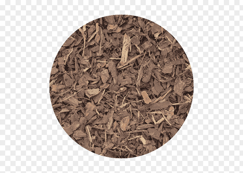 Pine Bark Hōjicha Wood /m/083vt Camouflage PNG