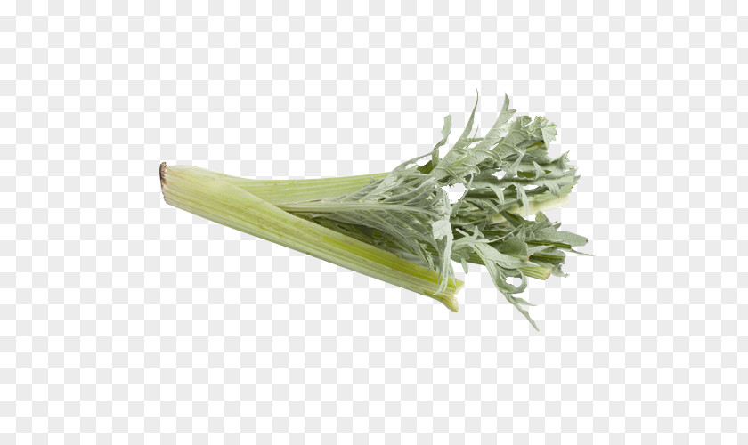 Vegetable Artichoke Stock Photography Image Royalty-free PNG