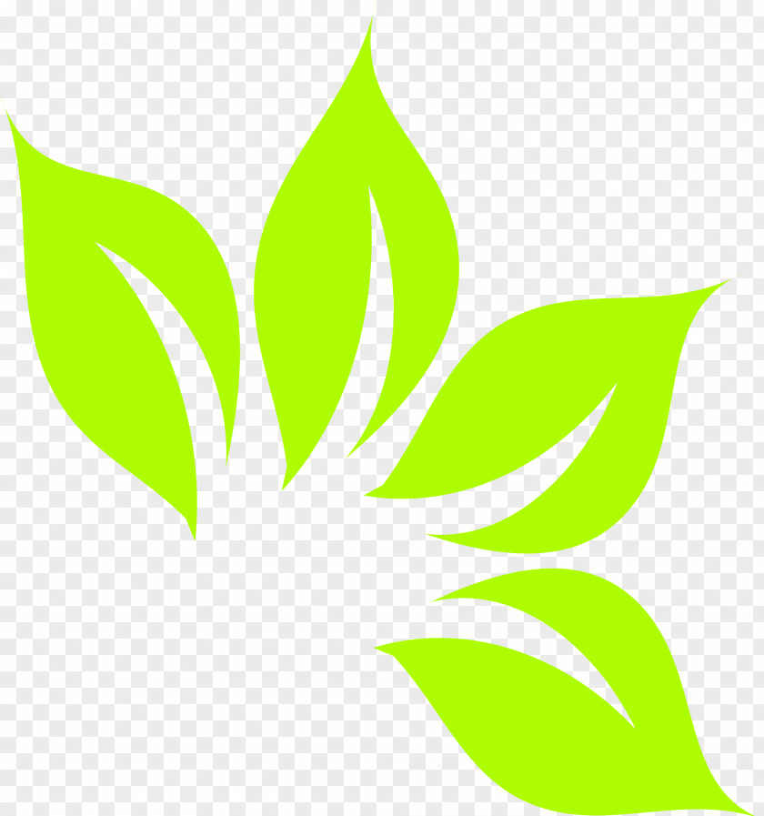Green Leaves Leaf Clip Art PNG