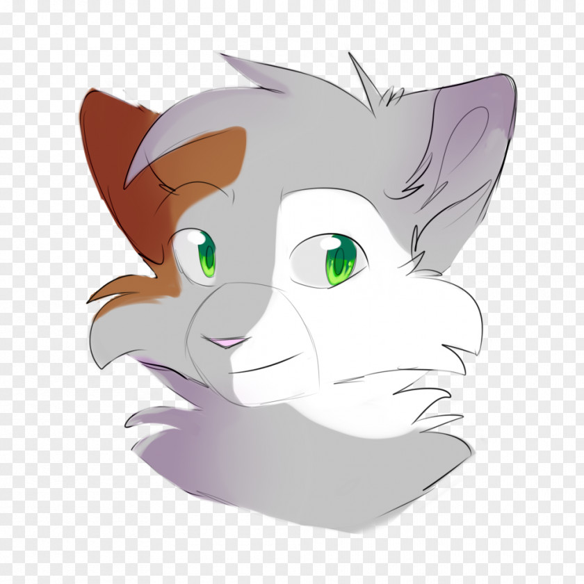 Kitten Whiskers DeviantArt PNG