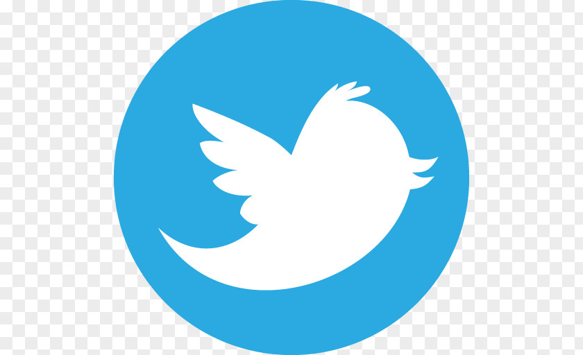 Twitter File Icon PNG