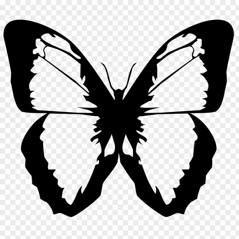 Butterfly Paper Printing Office Supplies PNG