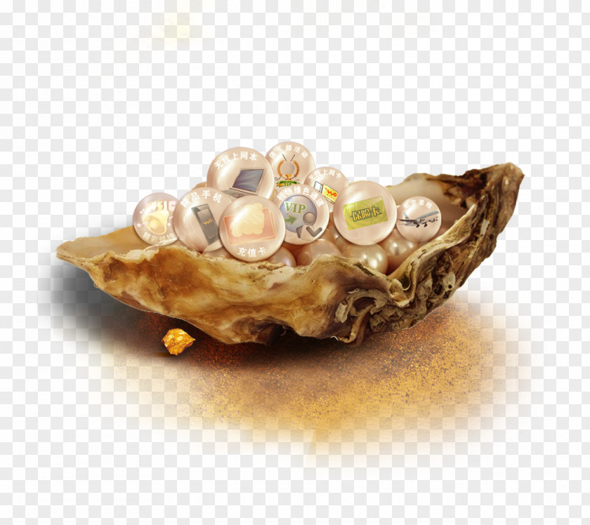 China Unicom Shell Poster PNG