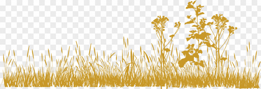 Chrysanthemums Grass Barley Escape Room Game Building English PNG