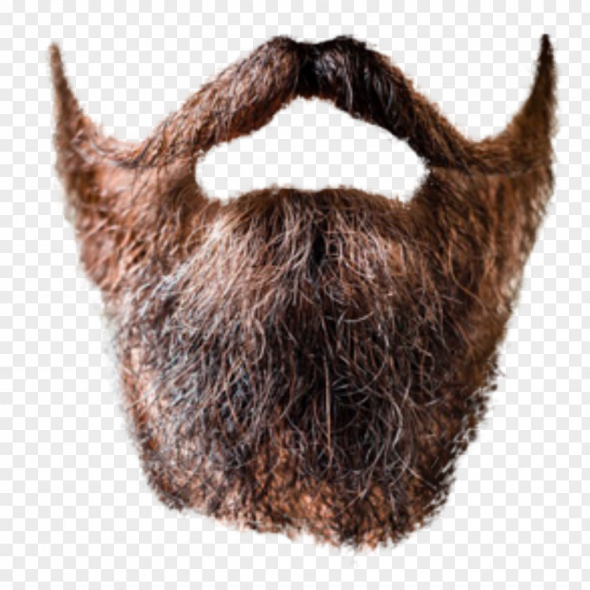 Beard World And Moustache Championships Stock Photography Close-up PNG
