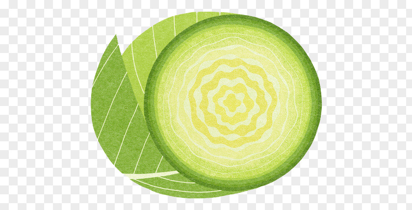 Cabbage Red Vegetable Food Illustration PNG