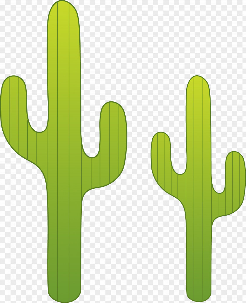 Cactus Saguaro Cactaceae Desert Clip Art PNG