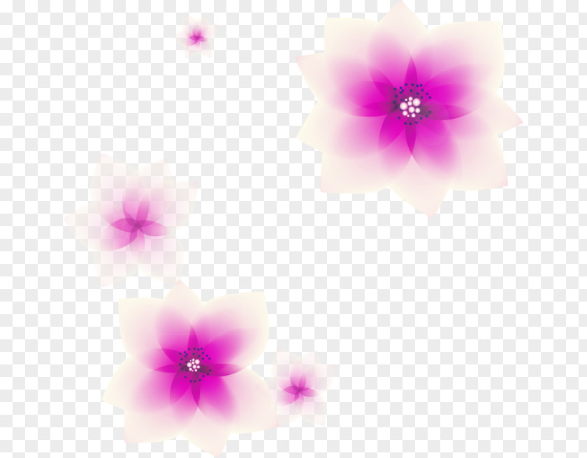 Dream Will Lose More Than Words Petal Computer Pattern PNG