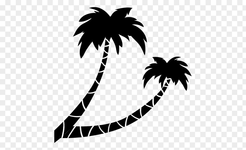 Vector Palm Leaves Drawing Silhouette PNG