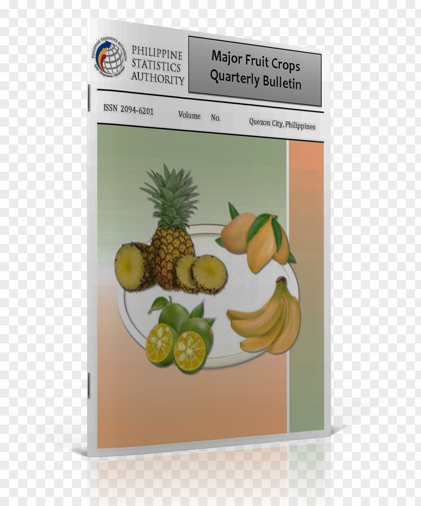 International Standard Book Number Pineapple PNG