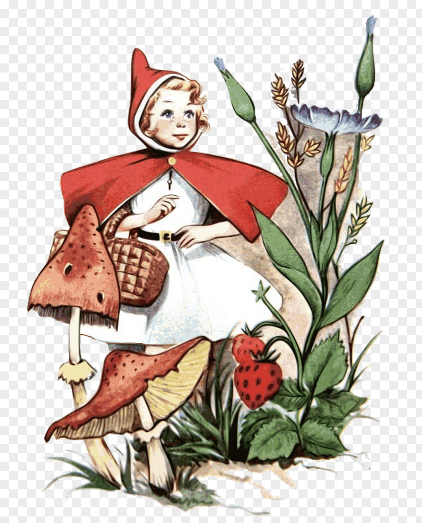 Red Riding Hood Little Big Bad Wolf Alice's Adventures In Wonderland Fairy Tale PNG