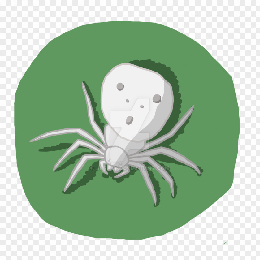 Smile Green Spider Web PNG