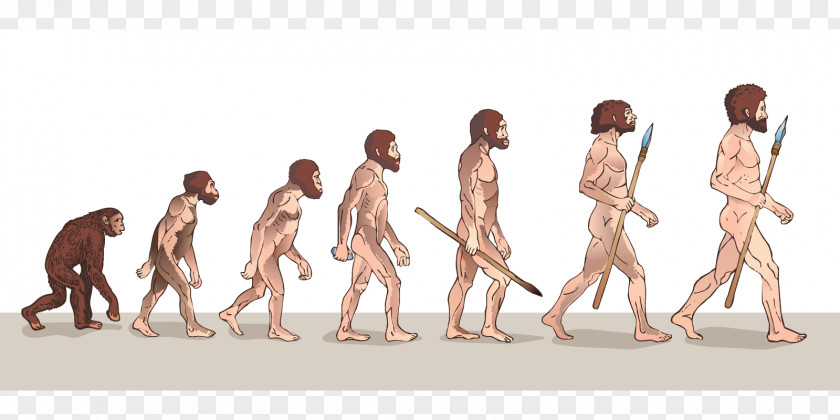 Archaic Humans Neanderthal Human Evolution The Of Man PNG