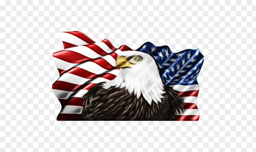 Bald Eagle Window Decal Sticker Car PNG