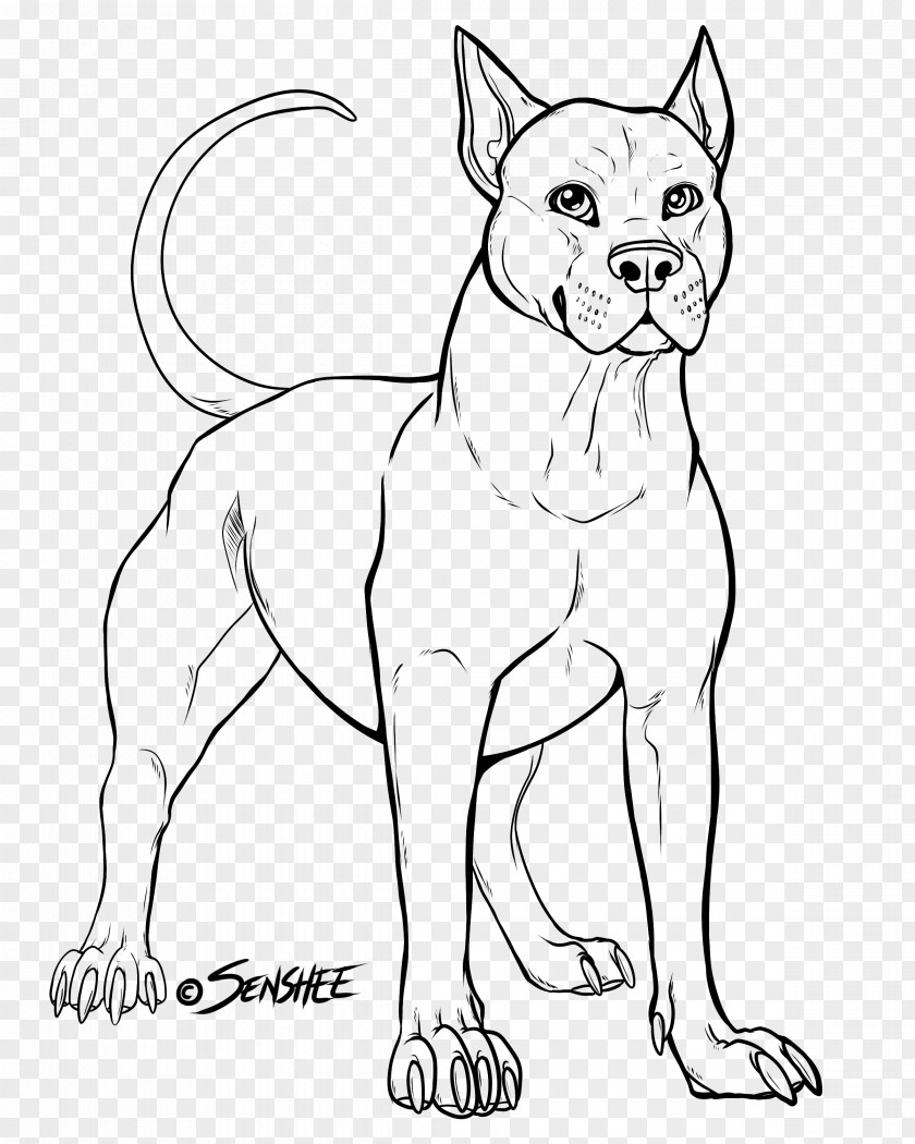 Corgi Pit Bull Dog Breed Terrier Whiskers Non-sporting Group PNG