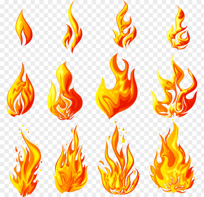 Fire Flame Euclidean Vector Illustration PNG