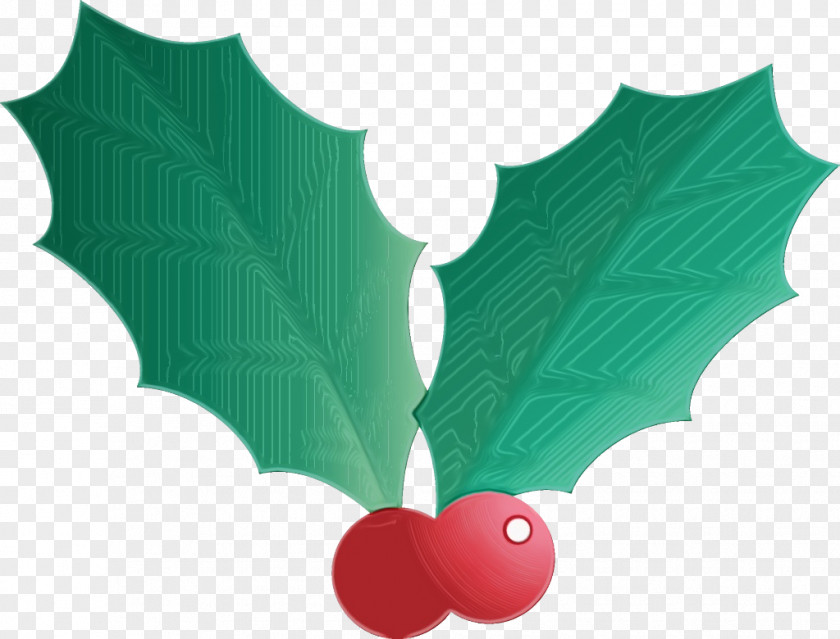 Plane Plant Holly PNG