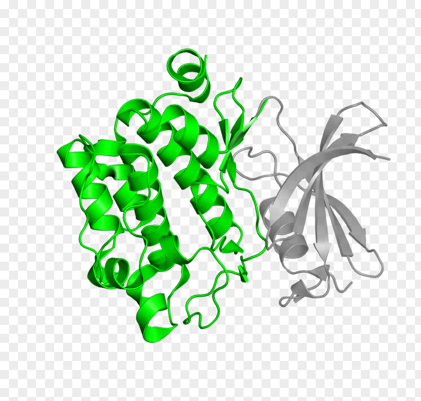 Serine/threonine-specific Protein Kinase Bioinformatics PNG