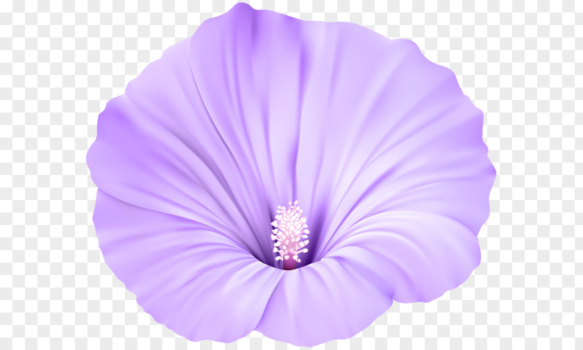 Violet Pink Flowers Purple Clip Art PNG