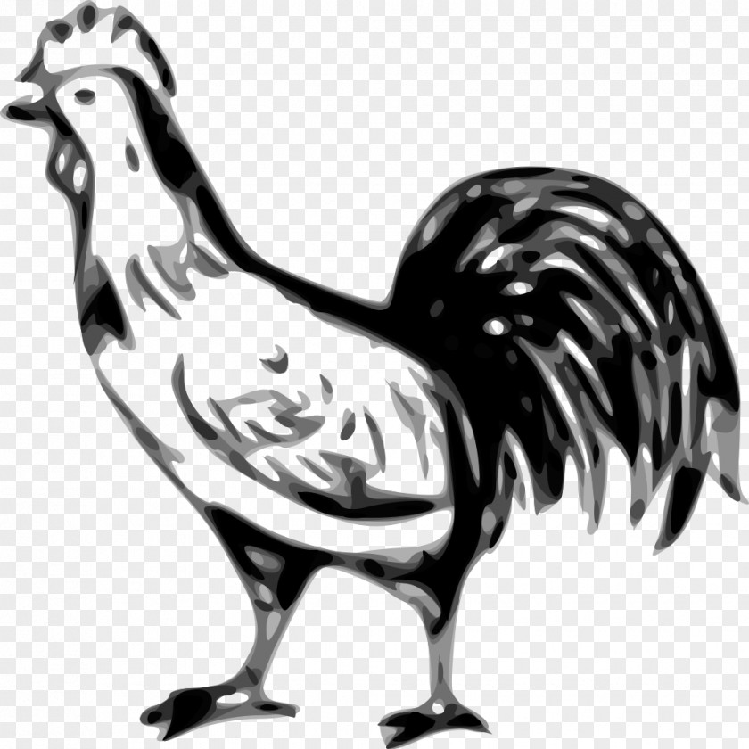 Rooster Chinese Zodiac Astrology Chicken PNG