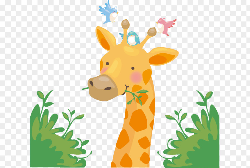 Vector Giraffe Clip Art PNG