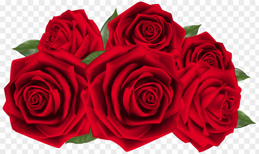 Beautiful Dark Red Roses Clipart Image Wedding Anniversary Birthday Flower Invitation PNG