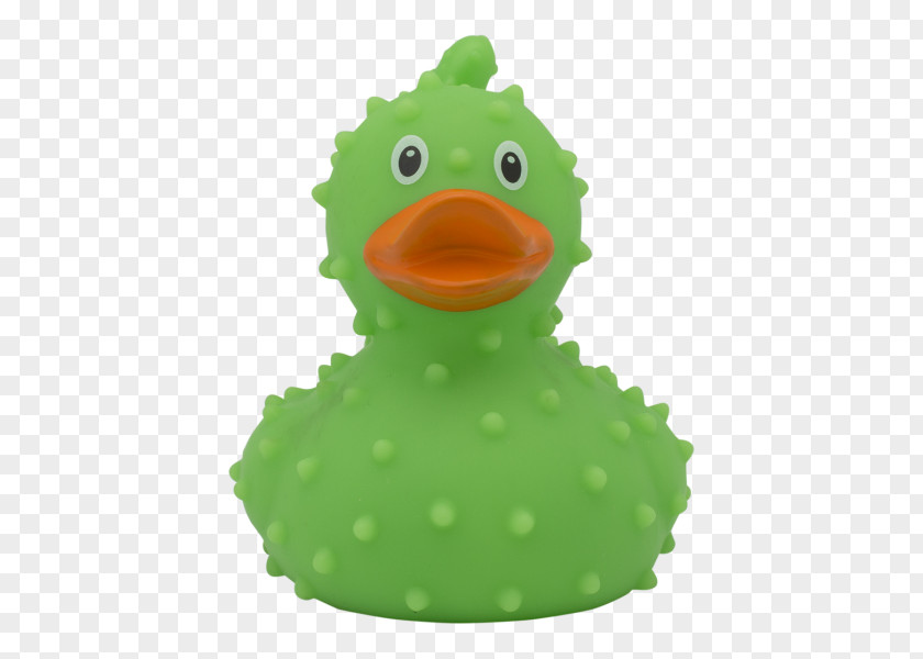 Duck Rubber Domestic Toy Natural PNG