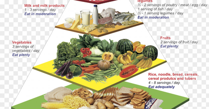 Health Malaysian Cuisine Nutrient Food Pyramid Nutrition PNG