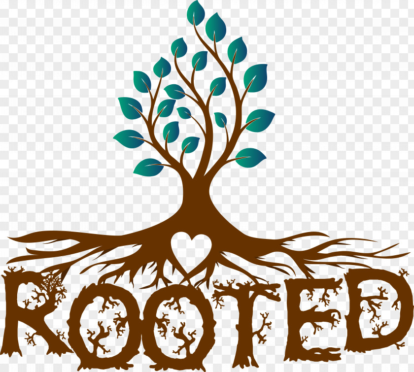 Texas State Tree Roots Clip Art Rooted School Out-Tree PNG