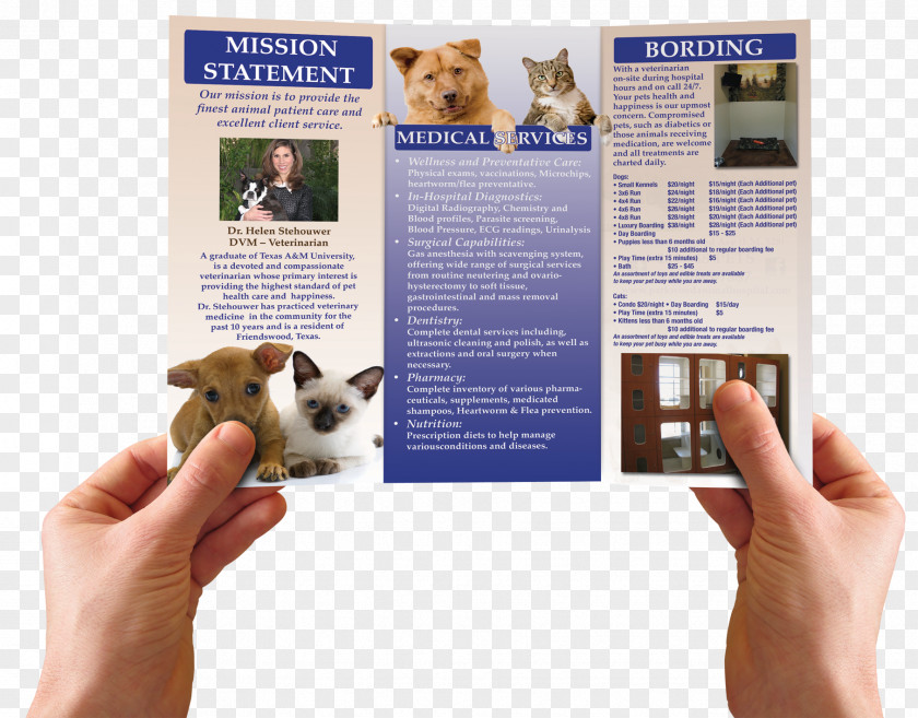 Best Brochure Advertising Company Dog Breed PNG