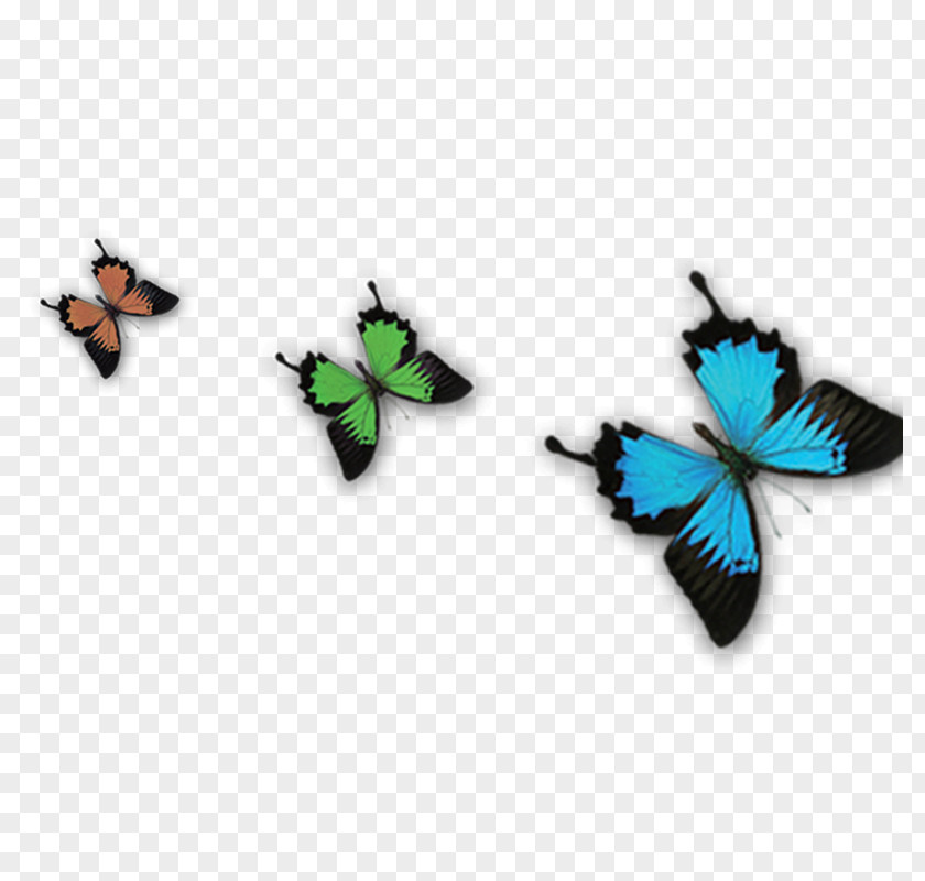 Butterfly Transparency And Translucency Blue PNG