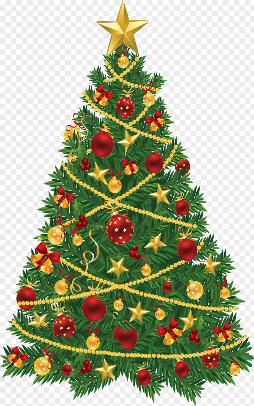 Christmas Tree Clip Art PNG