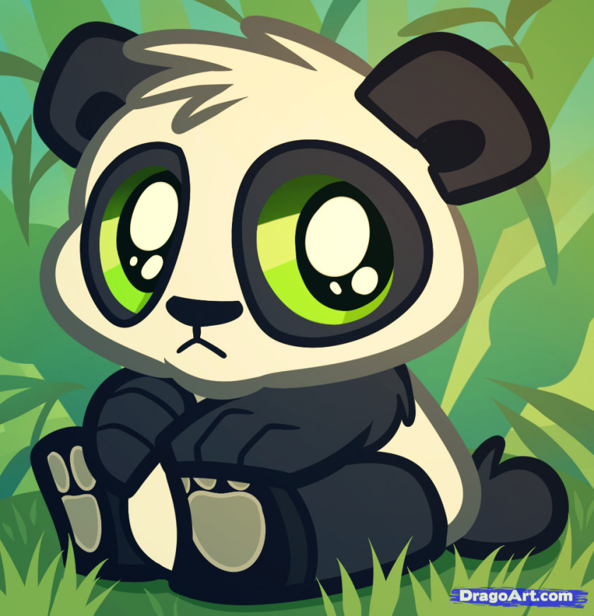 Cute Panda Drawing Giant Baby Pandas Red Bear PNG