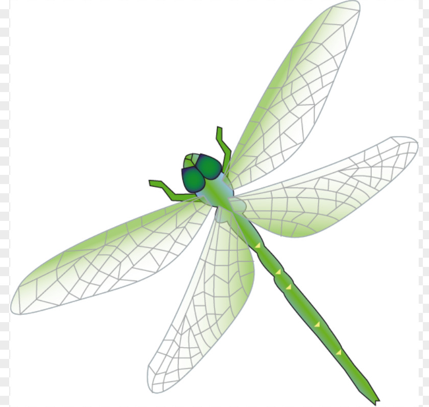 Dragonfly Outline Clip Art PNG