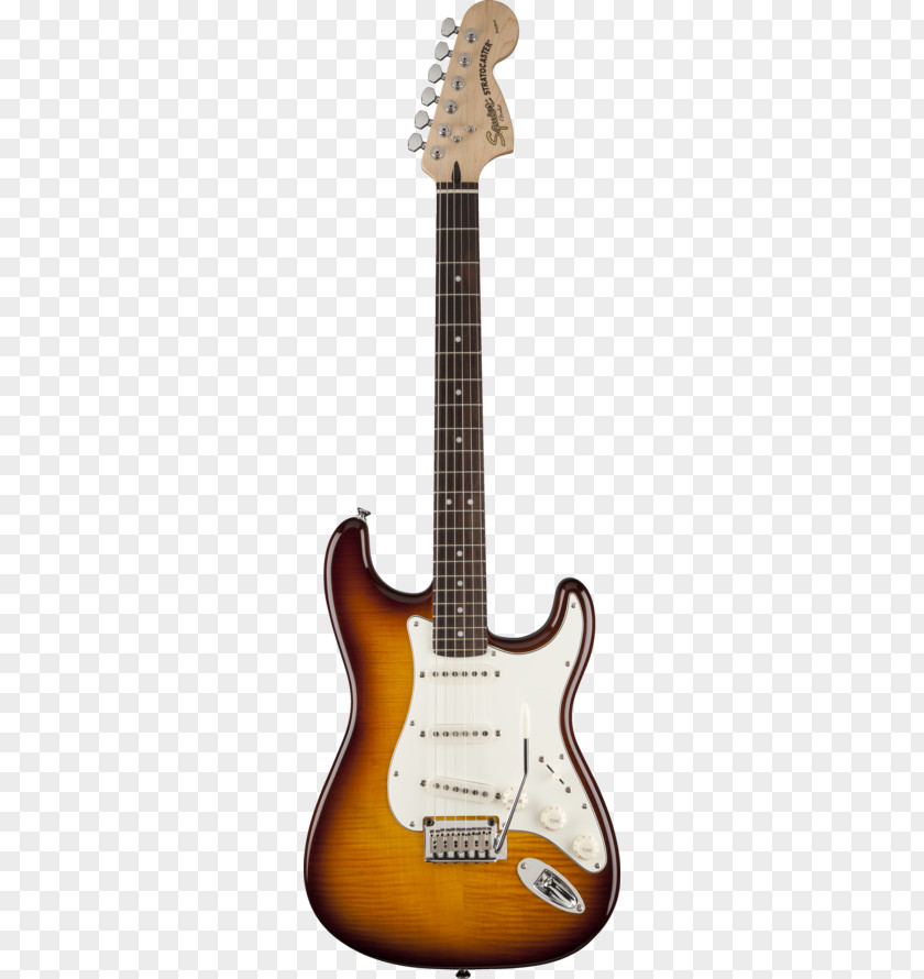 Guitar Squier Standard Stratocaster Electric Fender Sunburst PNG
