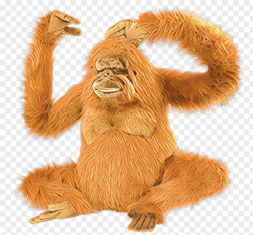 Orangutan Monkey Great Apes Fur Terrestrial Animal PNG