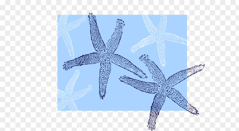 Starfish Cartoon Echinoderm Beach Bag Unisex PNG