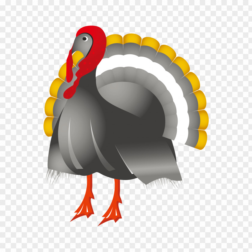 Thanksgiving Turkey Wedding Invitation Clip Art PNG