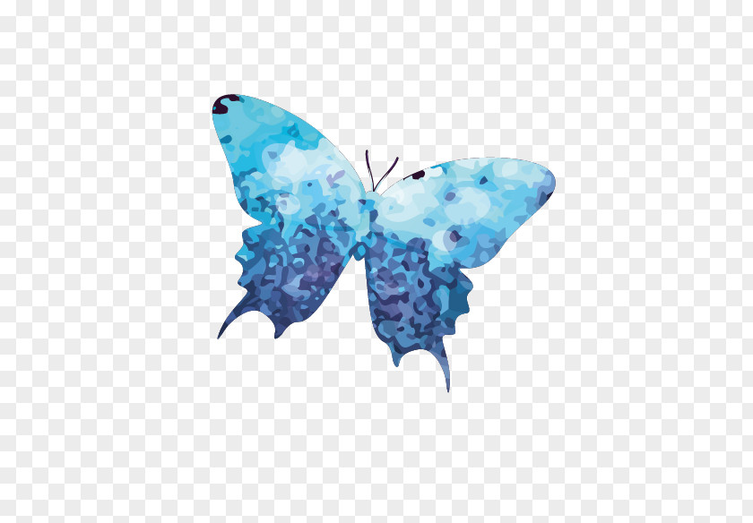 Vector Painted Butterfly PNG