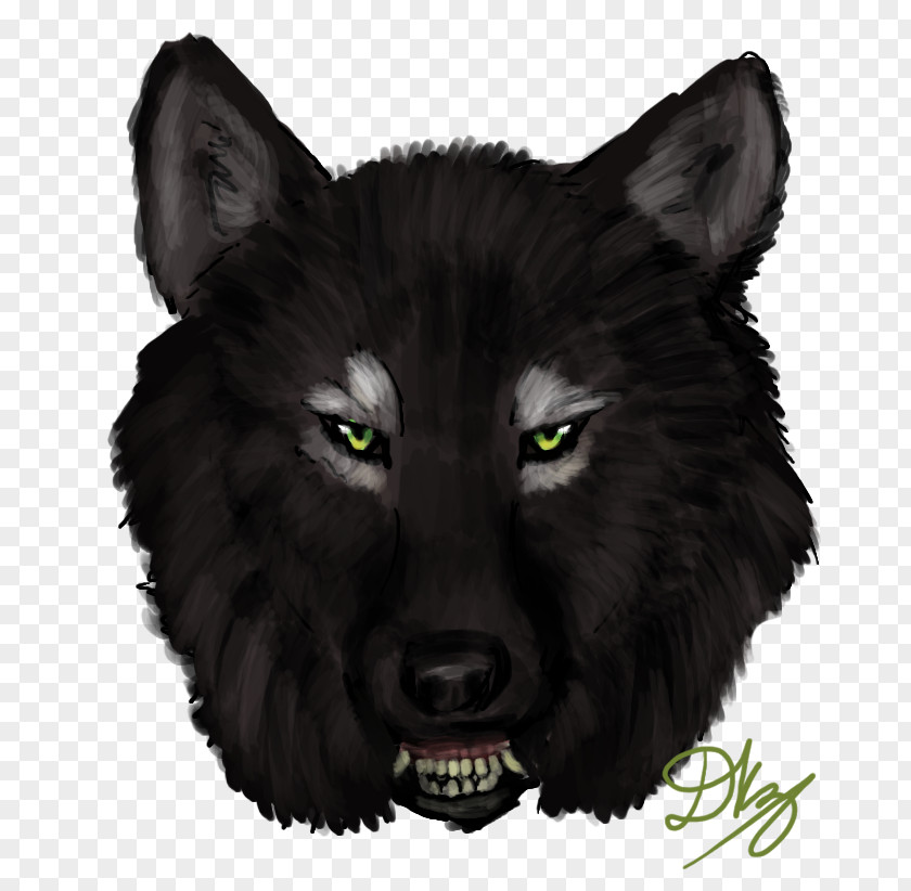 Werewolf Gray Wolf Whiskers Snout Fur PNG
