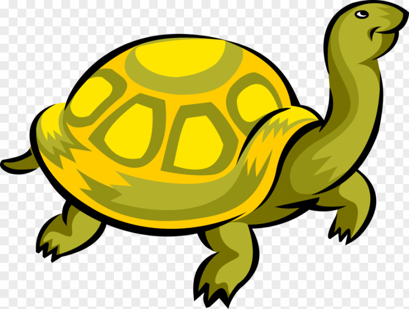 World Turtle Day Clip Art Illustration Vector Graphics PNG