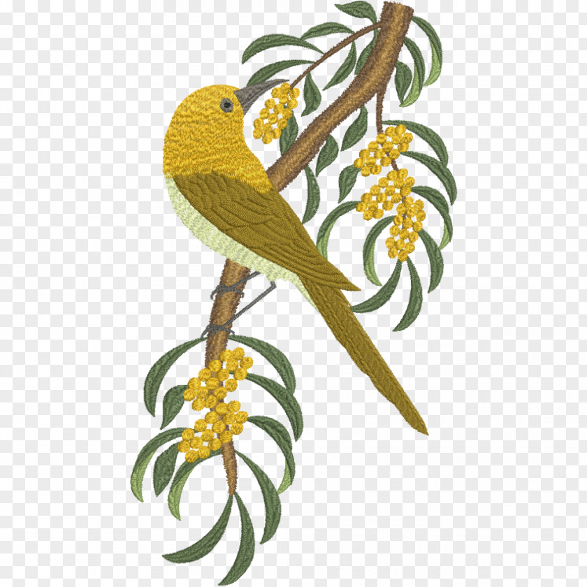 Bird Gang-gang Cockatoo Machine Embroidery PNG