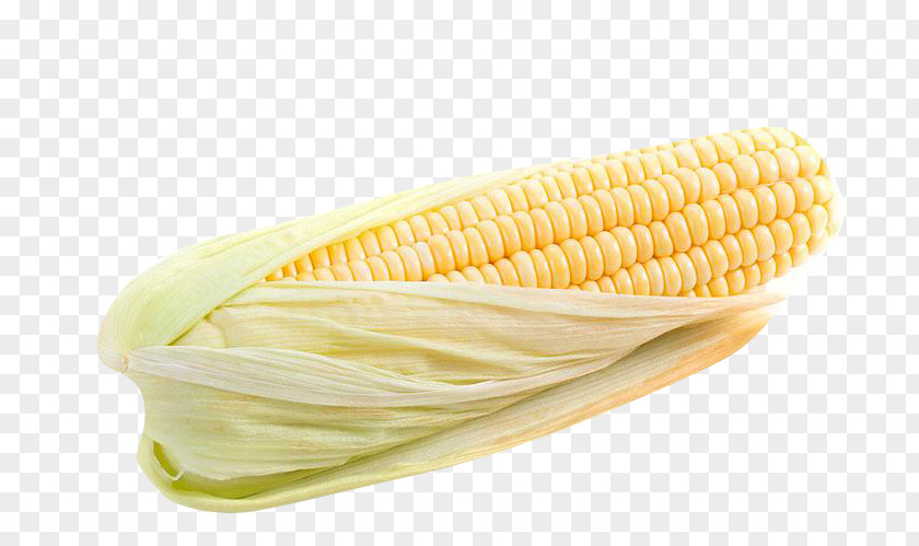 Corn On The Cob Maize PNG