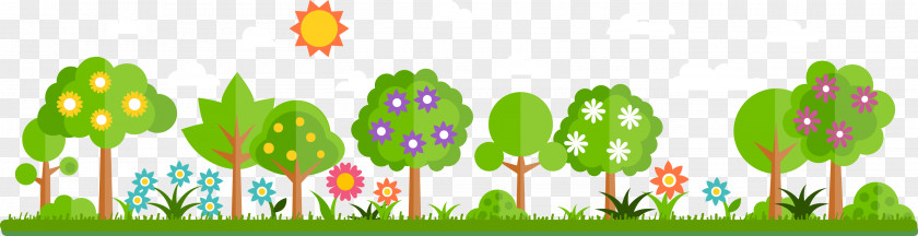 Cute Forest Trees Tree Image Vector Graphics Idea PNG