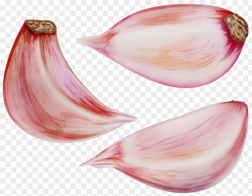 Food Pearl Onion Shallot Pink Red Vegetable PNG